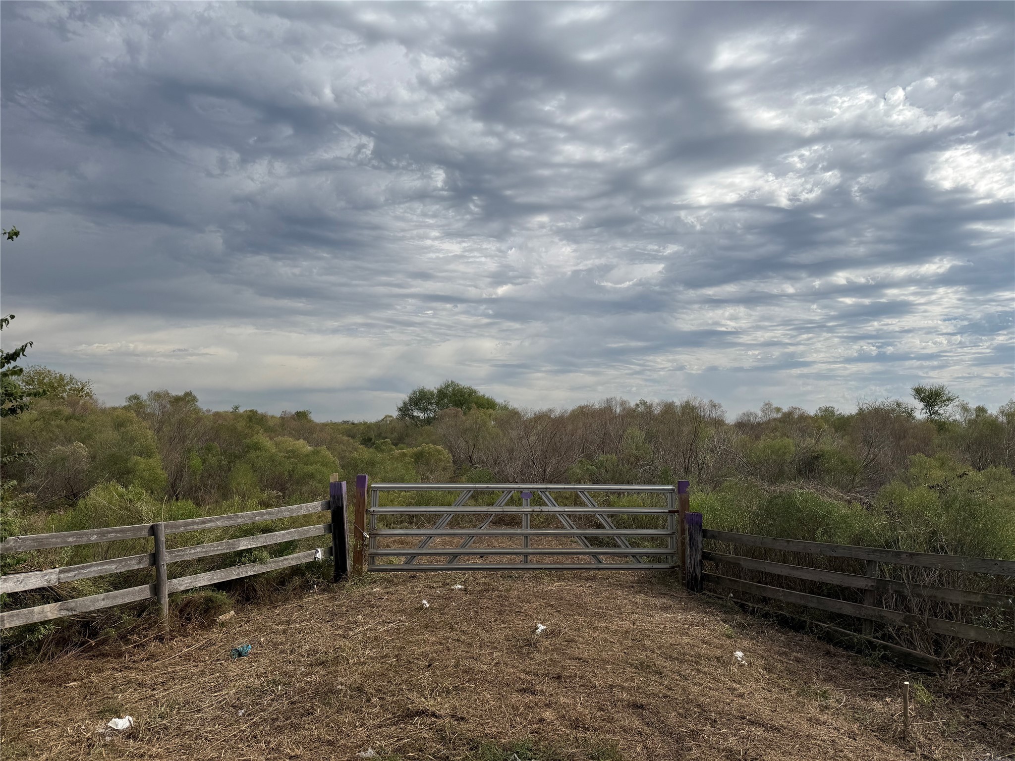 36 Highway 36 Bypass Rosenberg, TX 77471 - Photo 2 of 3 a view of a yard with wooden fence