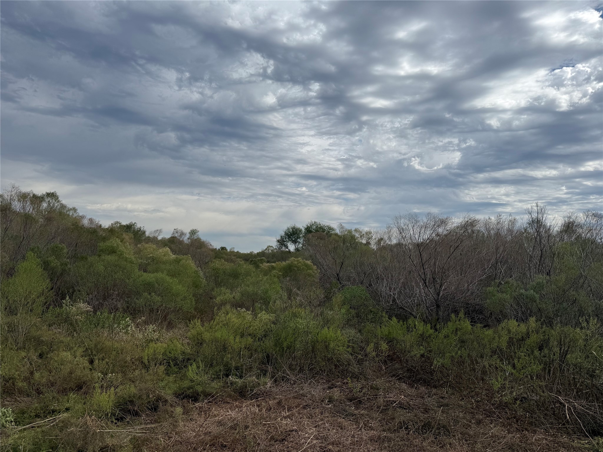 36 Highway 36 Bypass Rosenberg, TX 77471 - Photo 3 of 3 a view of a yard