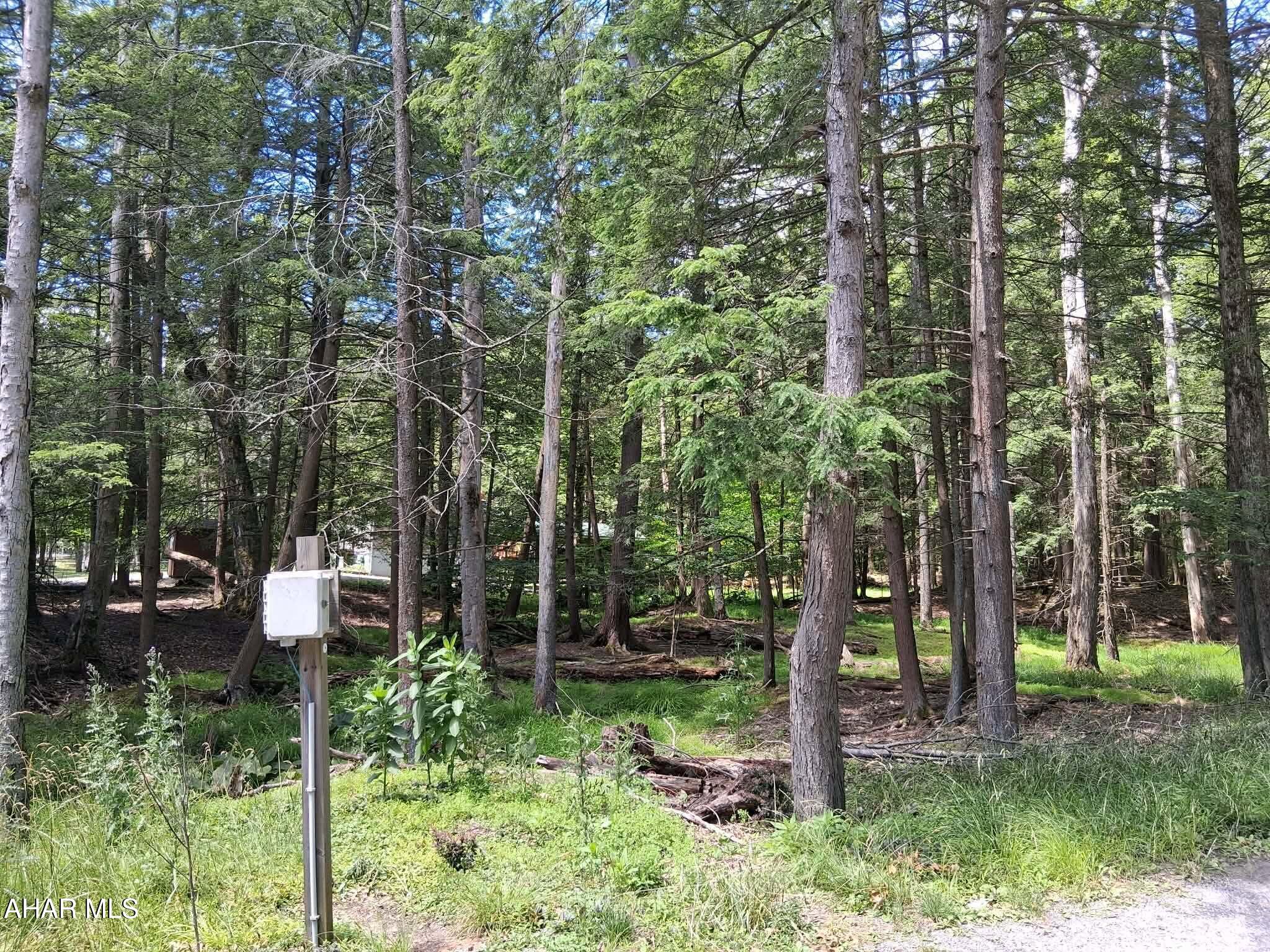 350 Kibler Lake Road Flinton, PA 16640 - Photo 13 of 13