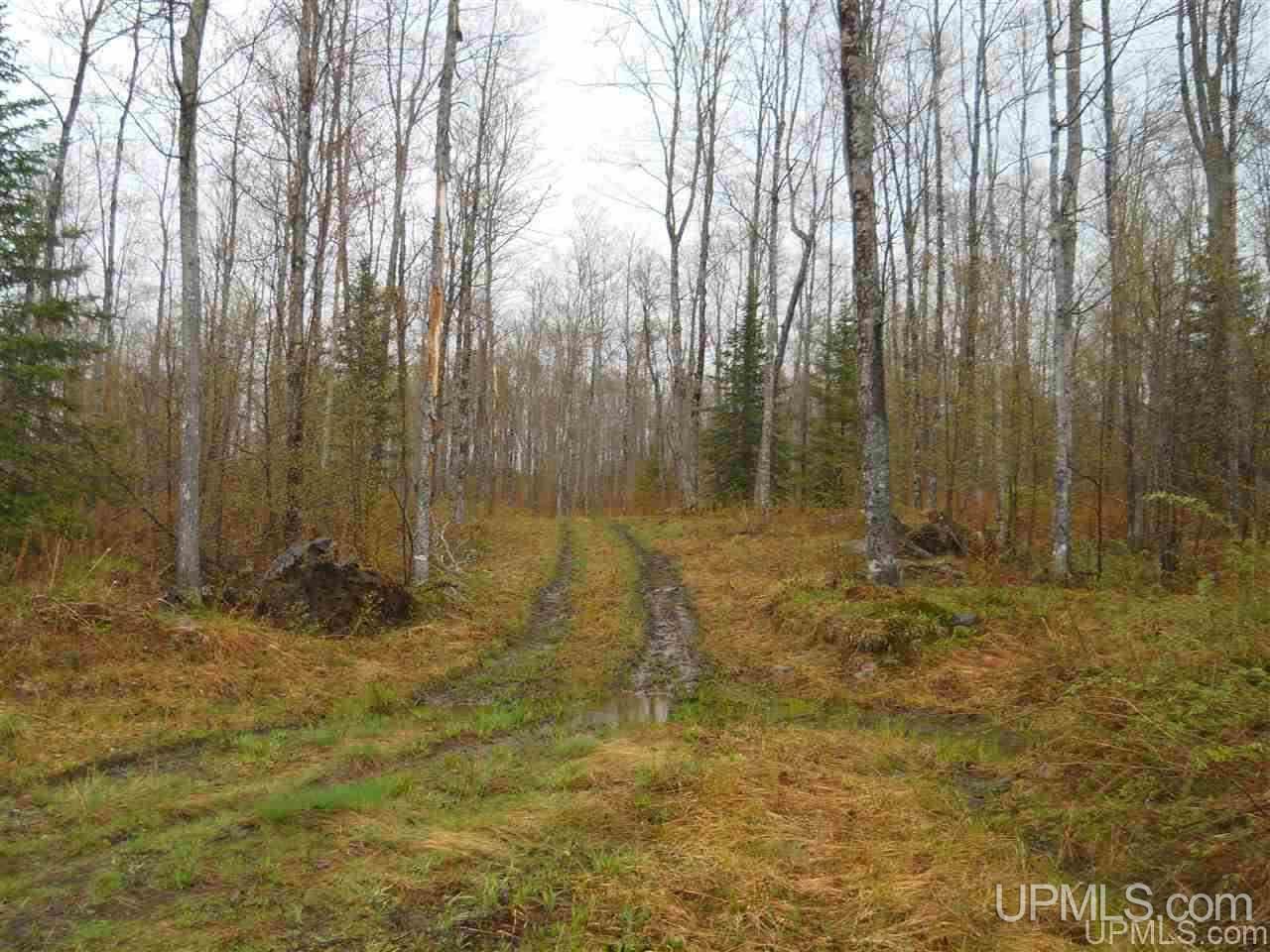 Tbd Tbd Off Us41 Lanse, MI 49946 - Photo 7 of 17