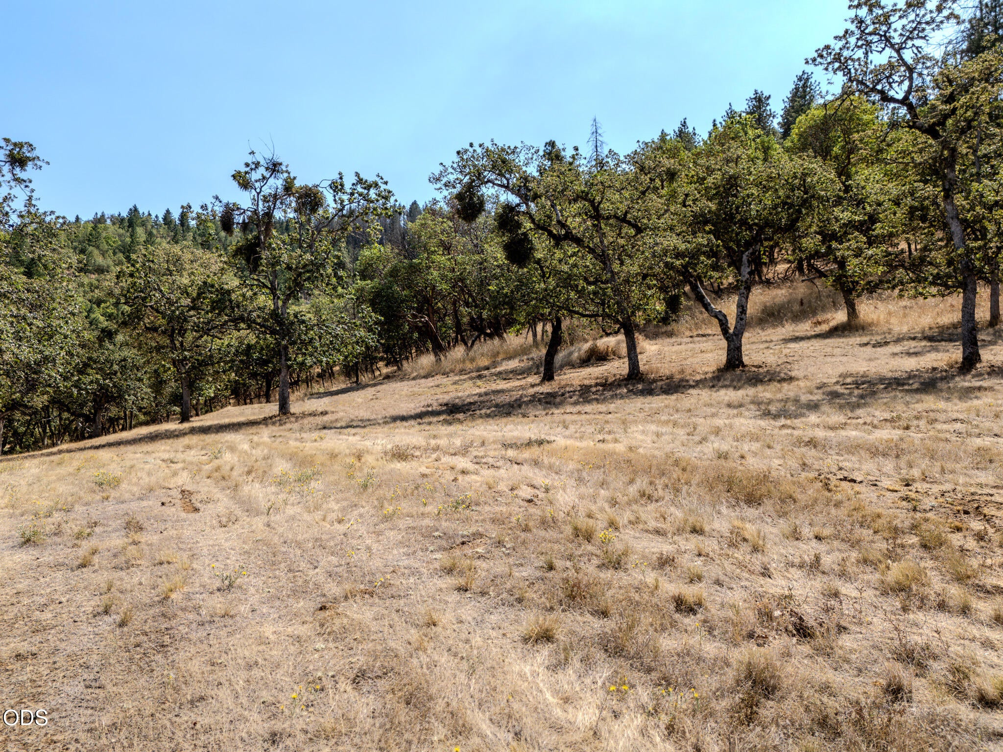3575 South Stage Road, Unit LOT 6 Medford, OR 97501 - Photo 7 of 16 Gallery Image 7
