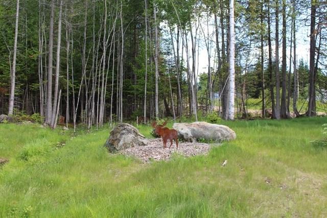 11 Spring Street Rangeley, ME 04970 - Photo 24 of 24 Photo
