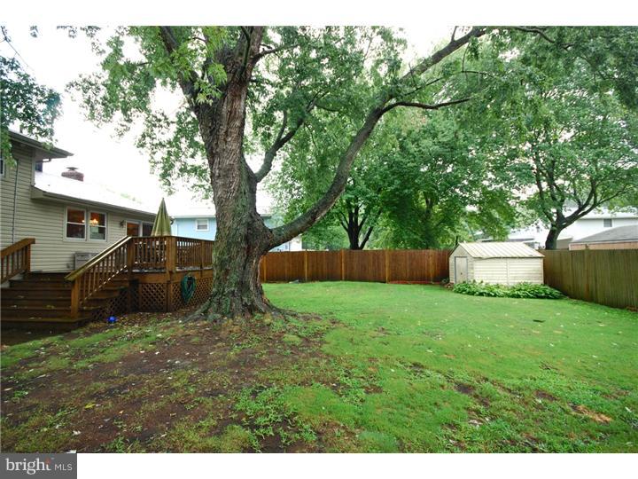 807 Richard Road Cherry Hill, NJ 08034 - Photo 23 of 25 View in Back