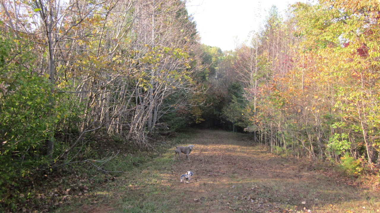 18 White Oak Road Boones Mill, VA 24065 - Photo 26 of 32 Left Side Property