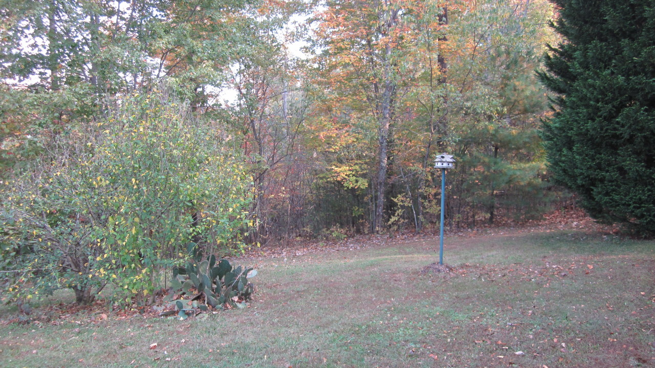 18 White Oak Road Boones Mill, VA 24065 - Photo 31 of 32 Right Side Property