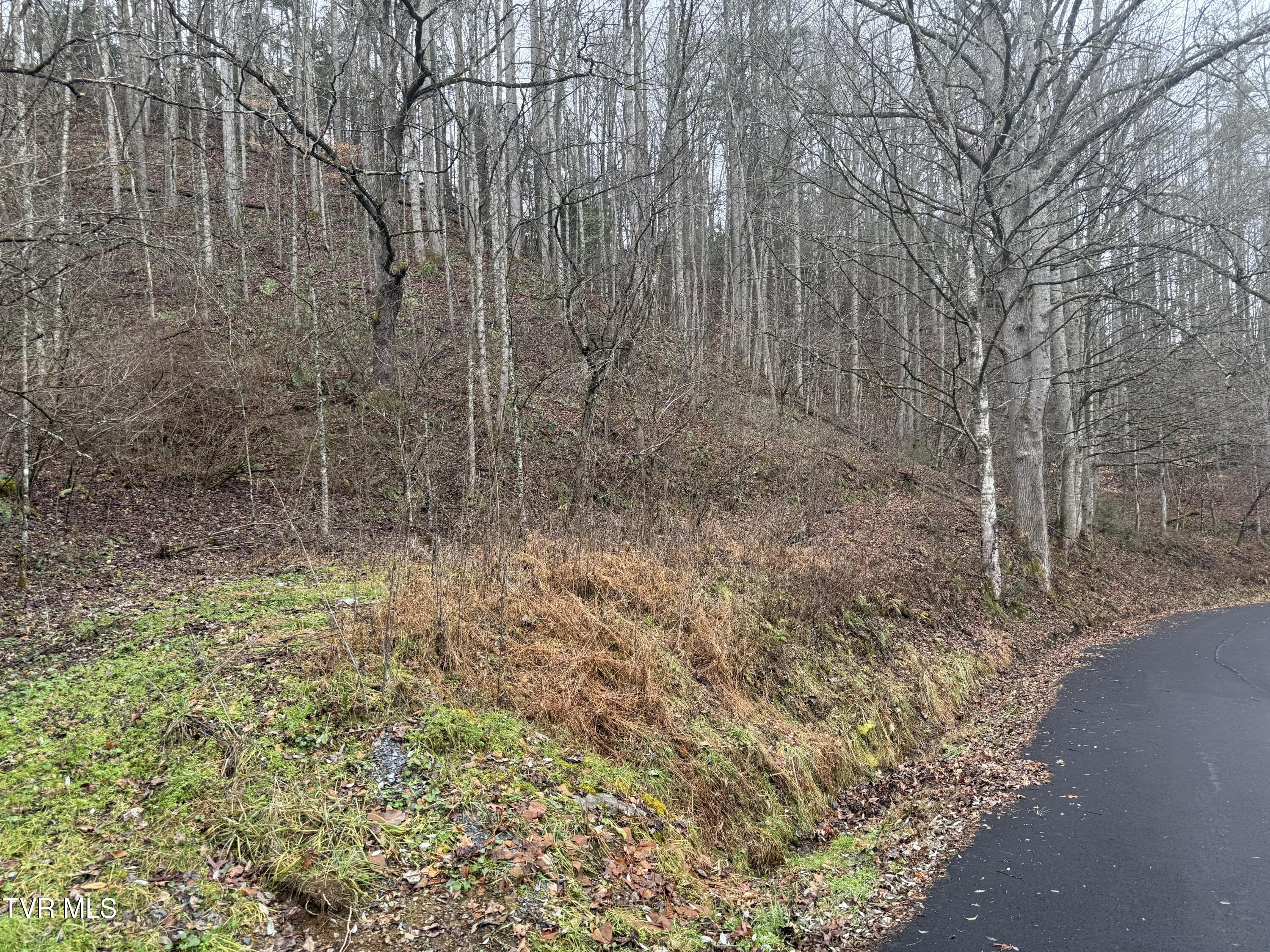 Tbd Tiger Creek Road Roan Mountain, TN 37687 - Photo 2 of 8 Photo Dec 17 2024, 1 49 08 PM - Copy