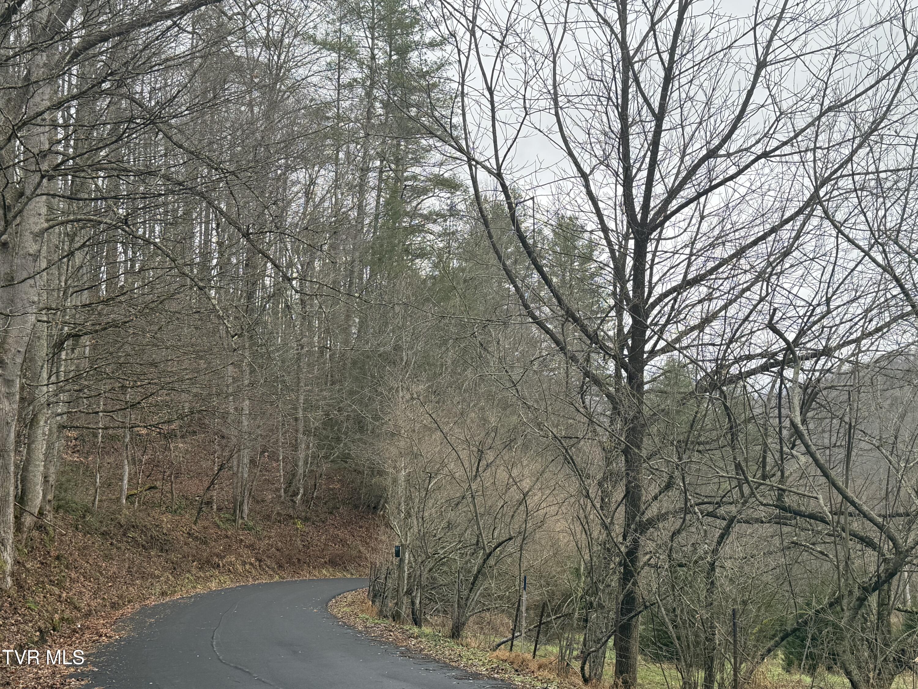 Tbd Tiger Creek Road Roan Mountain, TN 37687 - Photo 4 of 8 Photo Dec 17 2024, 1 49 17 PM - Copy