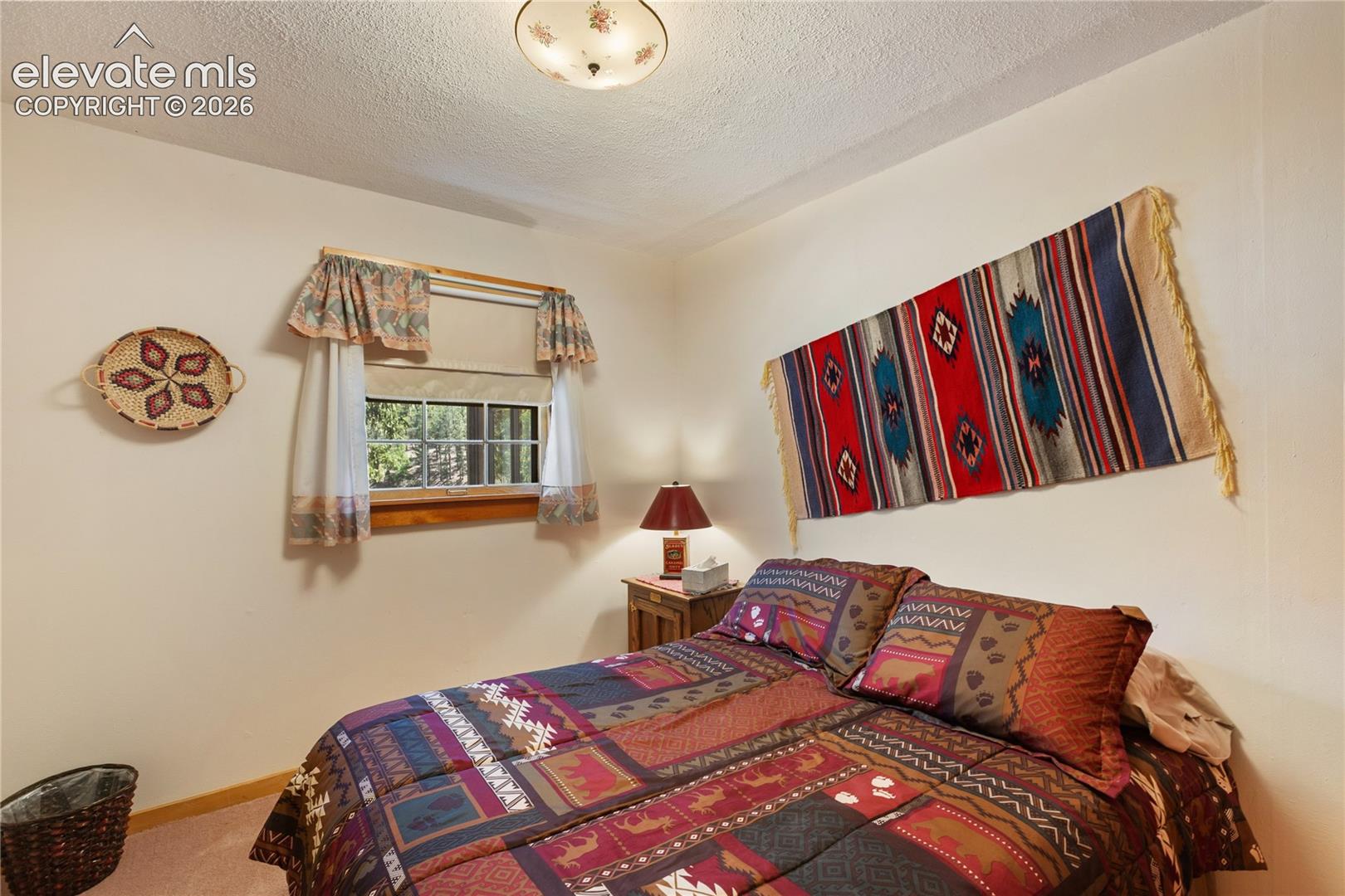146 Toms Ranch Rd Lake Lake George, CO 80827 - Photo 25 of 30