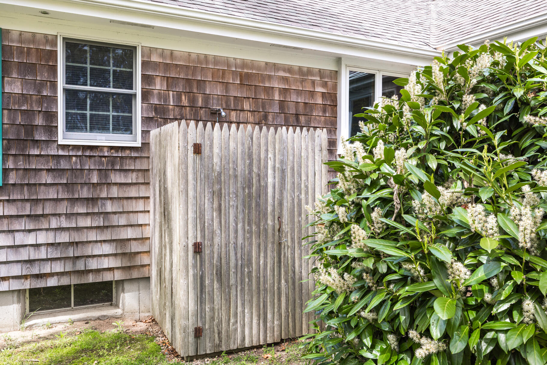 65 Continental Drive Harwich, MA 02645 - Photo 29 of 34 a view of a back yard from a potted plant