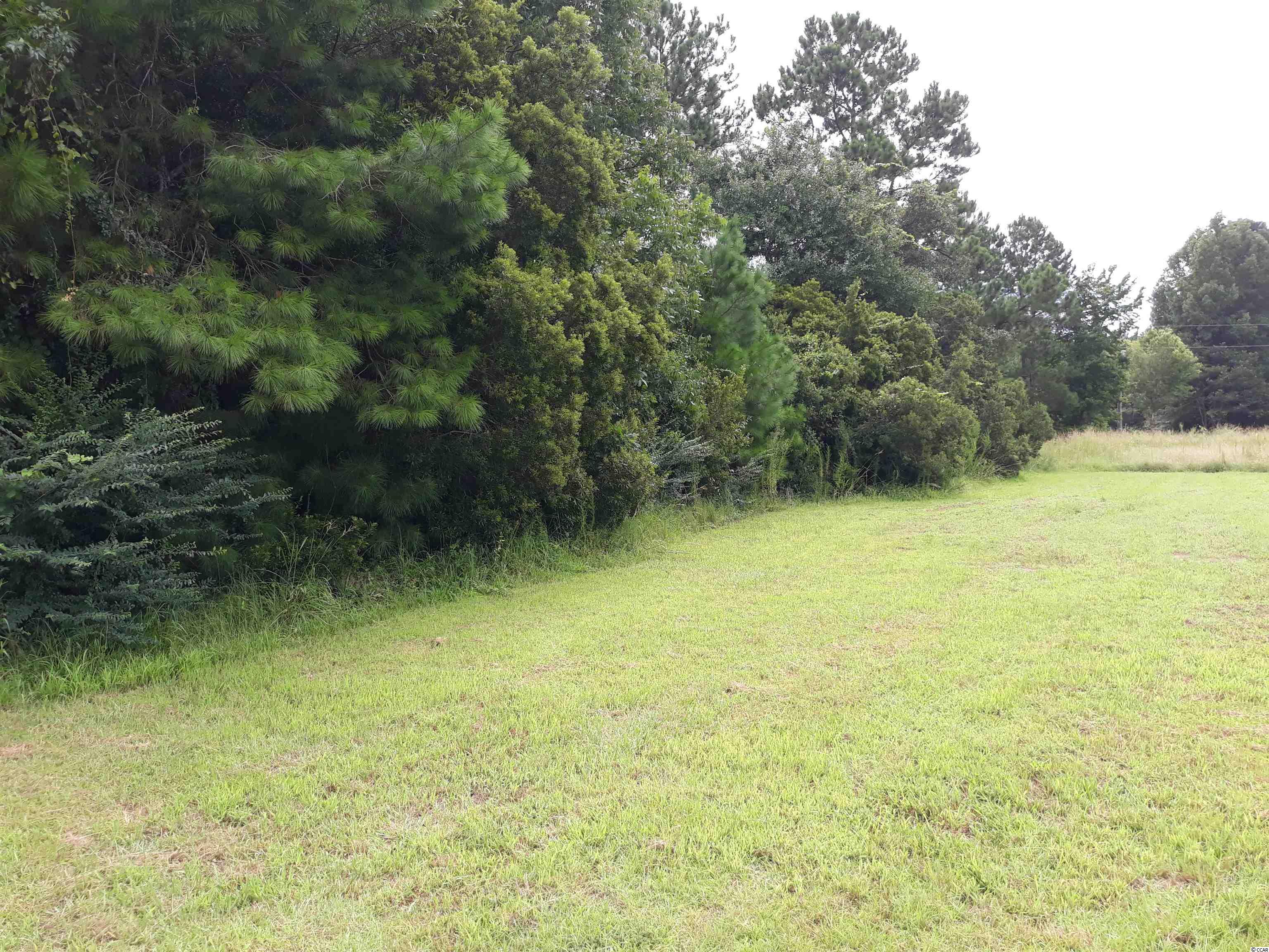 3445 Bombing Range Road Longs, SC 29568 - Photo 3 of 9 Gallery Image 3