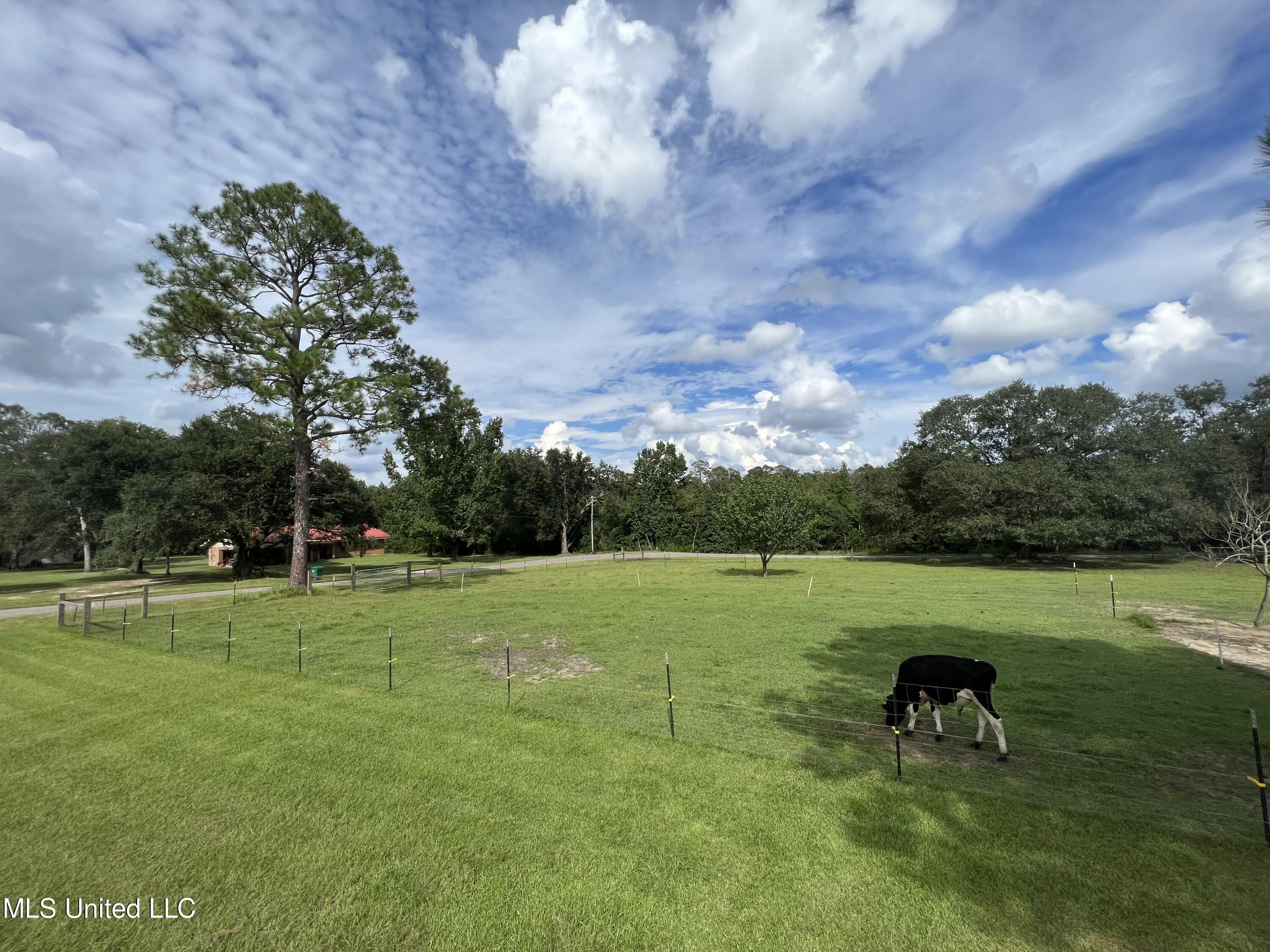 23410 Indian Ridge Road Picayune, MS 39466 - Photo 3 of 16 IMG-3536