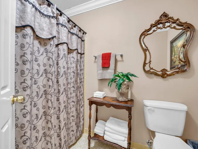 a bathroom with a toilet and a shower curtain