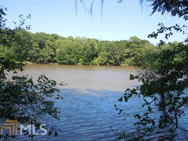 0 Laurel Tree Road Clyo, GA 31303 - Photo 1 of 1