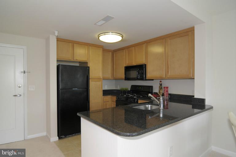 355 I Street Southwest, Unit S406 Washington, DC 20024 - Photo 1 of 18 Kitchen