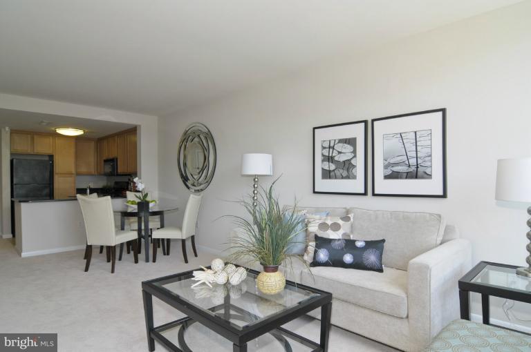 355 I Street Southwest, Unit S406 Washington, DC 20024 - Photo 17 of 18 Living Room