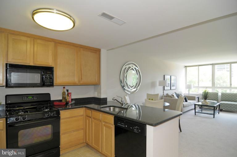355 I Street Southwest, Unit S406 Washington, DC 20024 - Photo 3 of 18 Kitchen