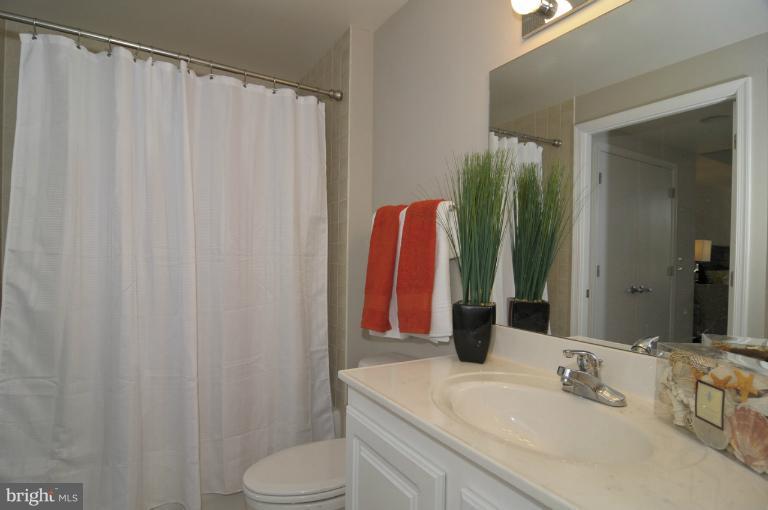355 I Street Southwest, Unit S406 Washington, DC 20024 - Photo 8 of 18 Bath (Master)