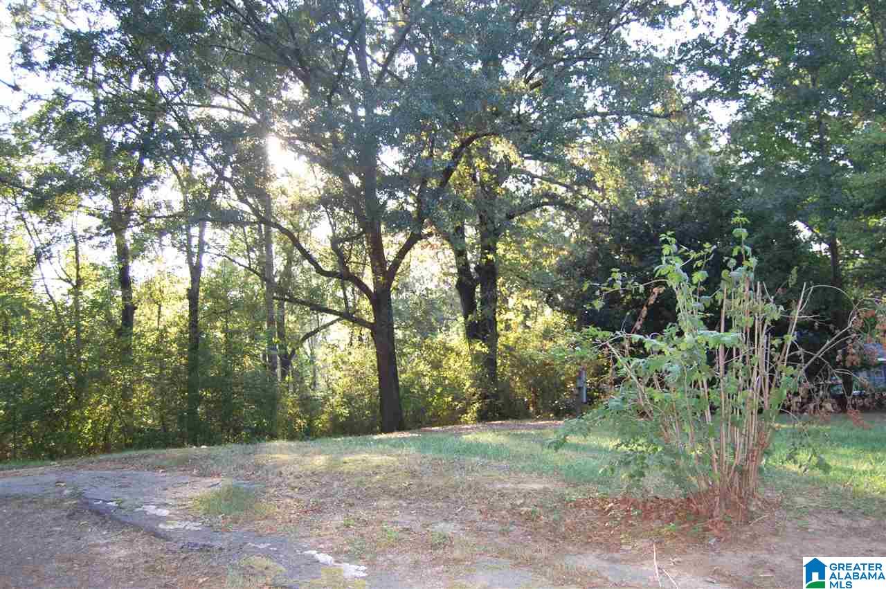 6742 West Jefferson Road Quinton, AL 35130 - Photo 32 of 34