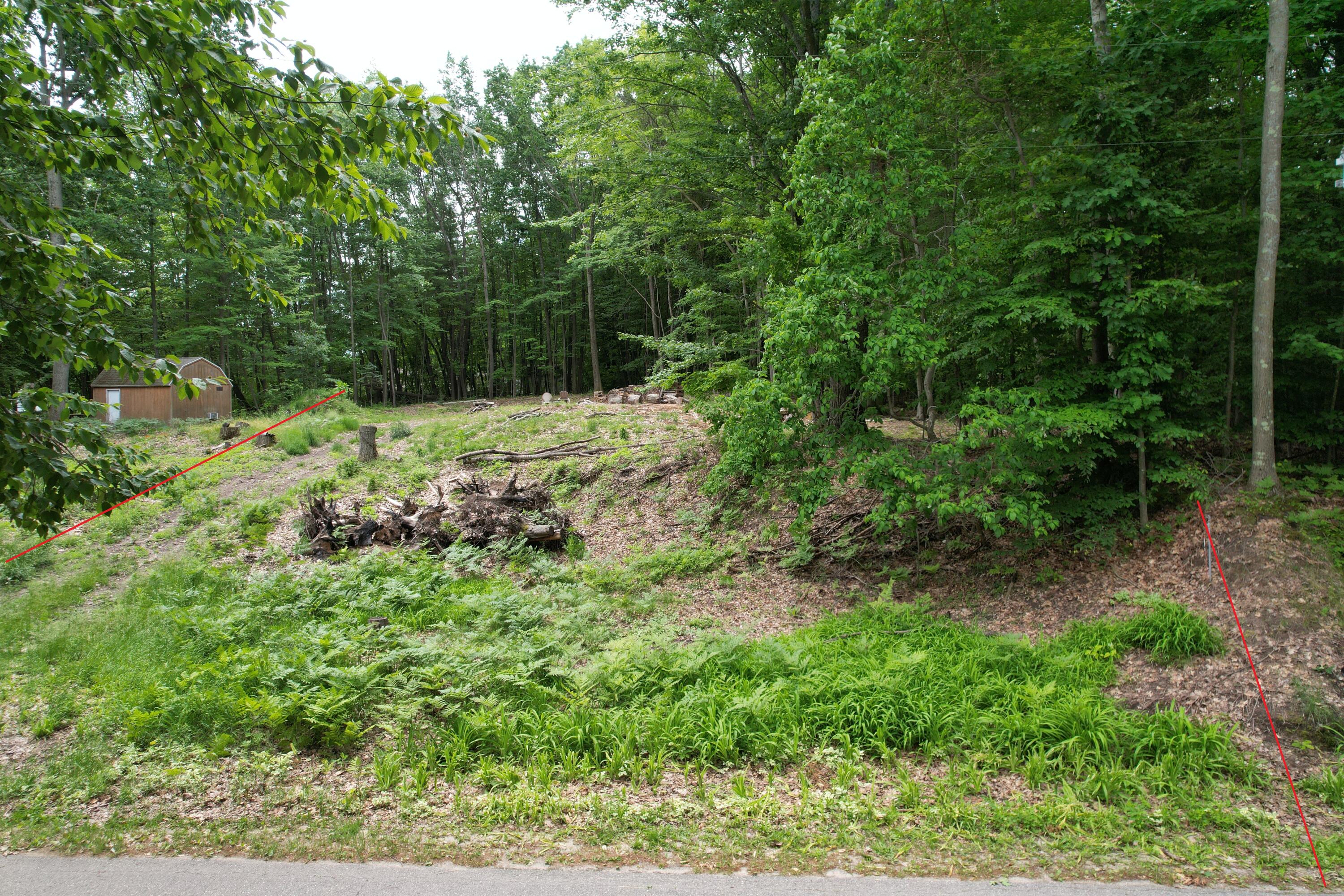 4209 East Town Line Road Fountain, MI 49410 - Photo 10 of 18 Cleared Lot