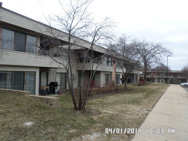 1095 North Sterling Avenue, Unit 108 Palatine, IL 60067 - Photo 3 of 10