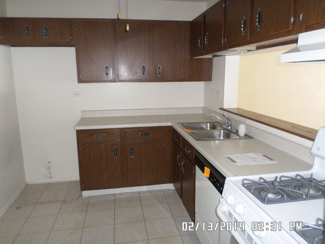 1095 North Sterling Avenue, Unit 108 Palatine, IL 60067 - Photo 6 of 10