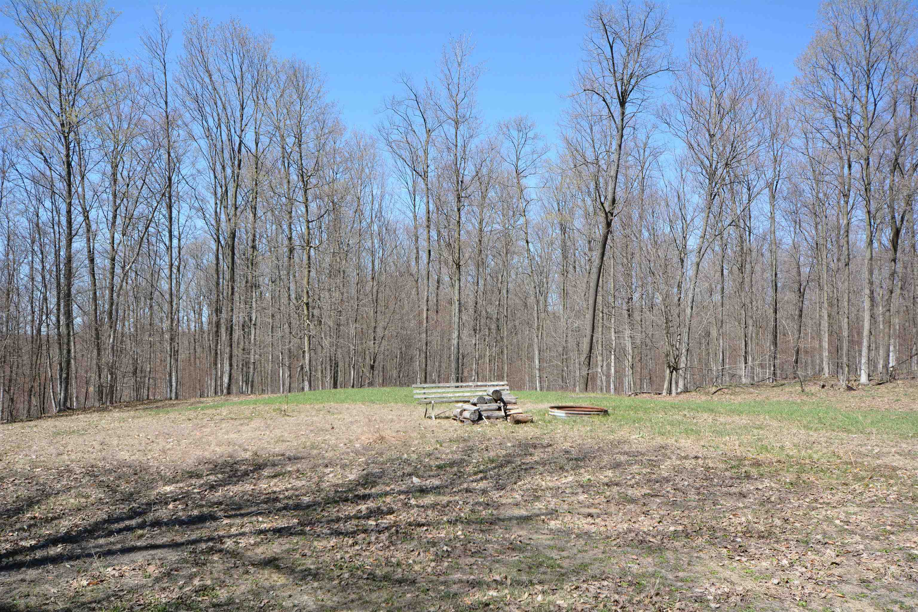 11100 Fewins Road Honor, MI 49640 - Photo 4 of 34