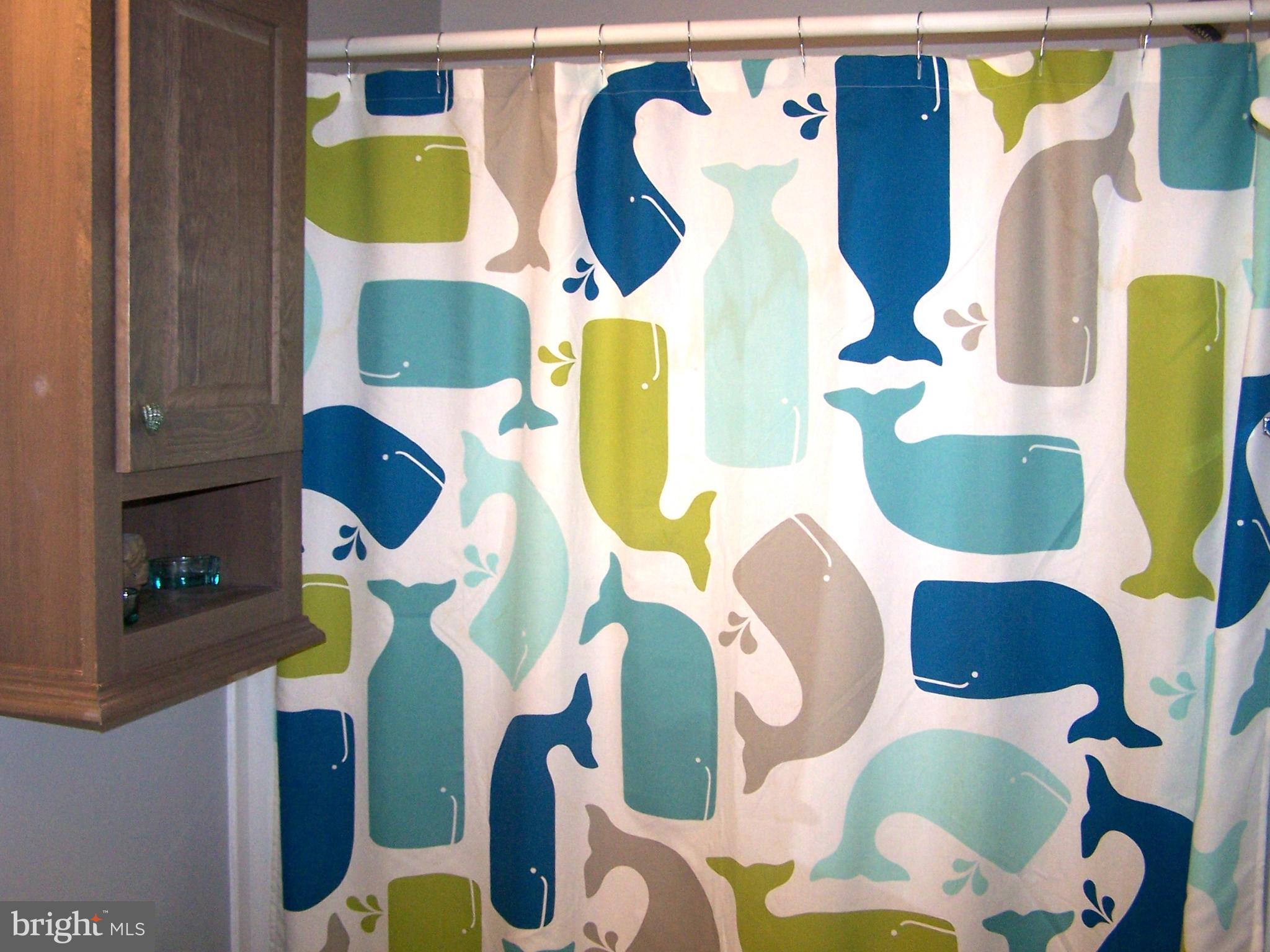 138 Clamshell Road Ocean City, MD 21842 - Photo 33 of 53 Guest Bathroom