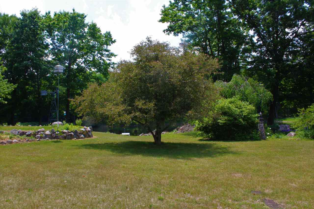 3943 West Main Road Road Stanton, MI 48888 - Photo 6 of 47