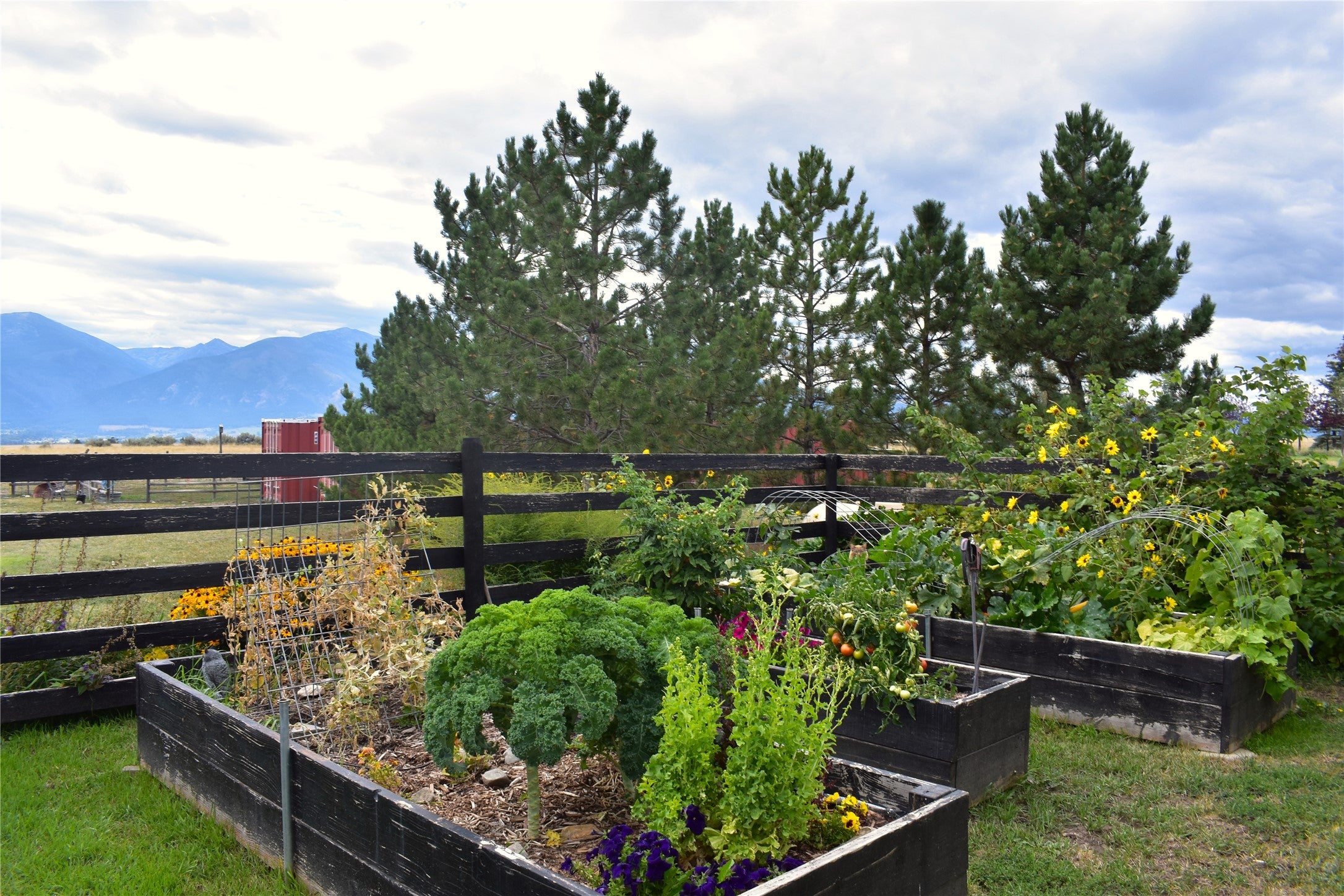 1009 Hidden Valley Road North Florence, MT 59833 - Photo 61 of 75 Gallery Image 61