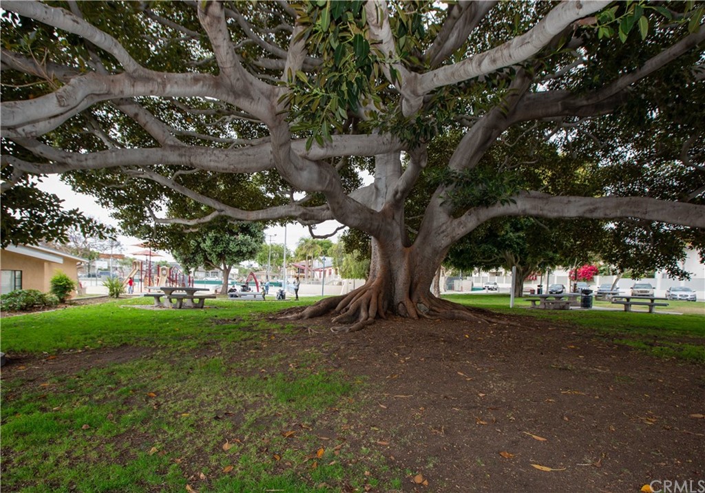 2305 Rockefeller Lane, Unit B Redondo Beach, CA 90278 - Photo 24 of 32