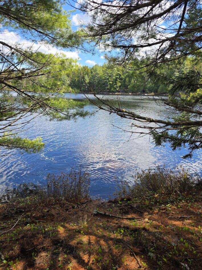 Off Northfield Road Machias, ME 04654 - Photo 37 of 39 20260507_131335