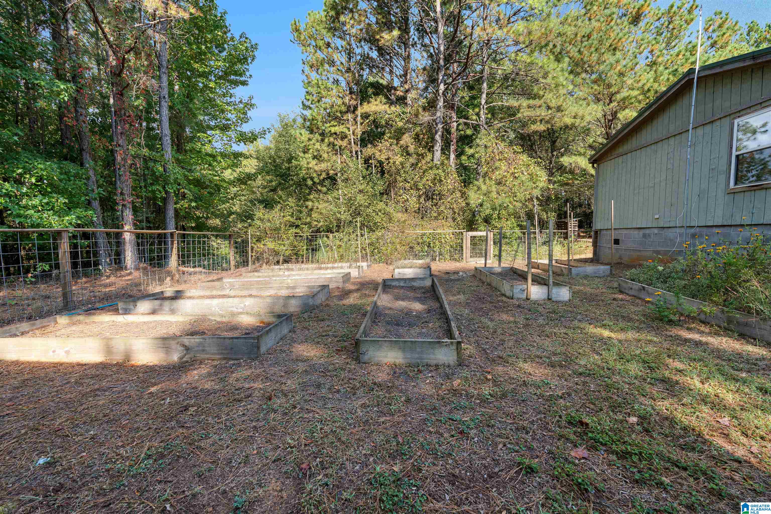 78 County Road 862 Wadley, AL 36276 - Photo 60 of 78