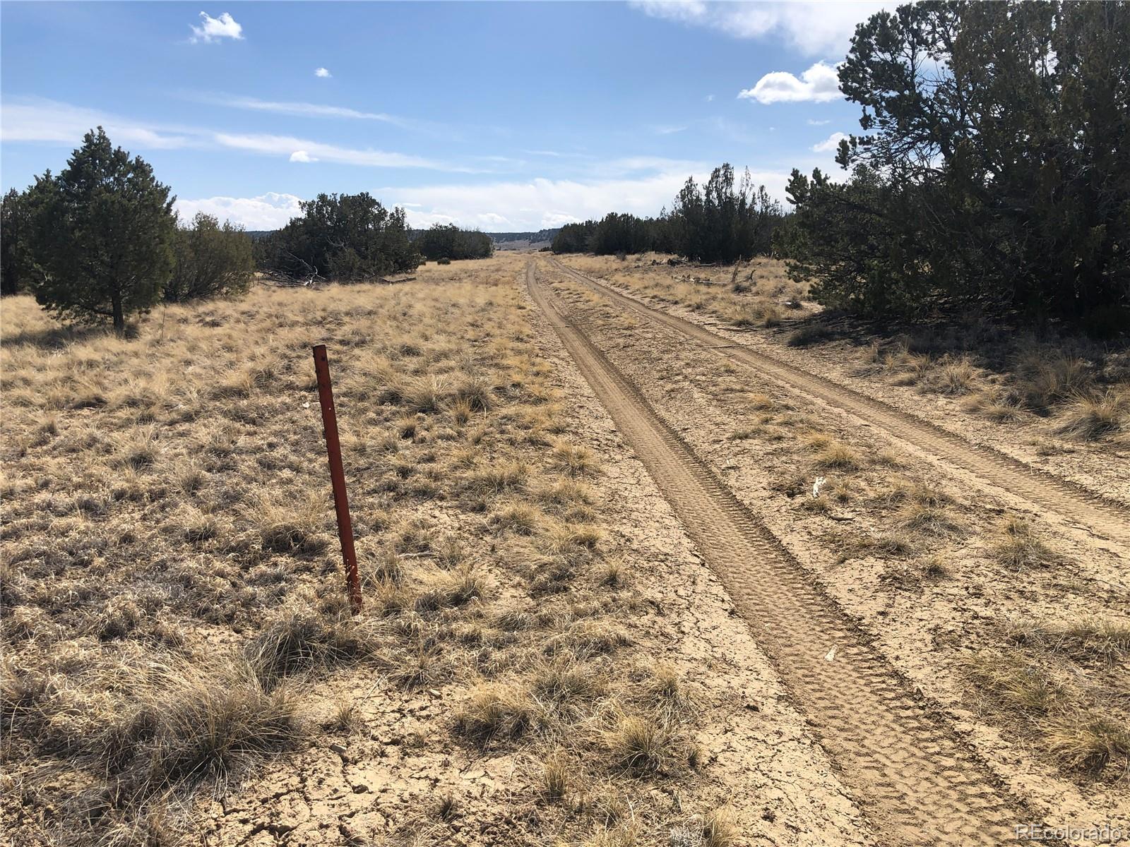 4-5 Longhorn Ranch Model, CO 81059 - Photo 15 of 18 a view of a dry yard