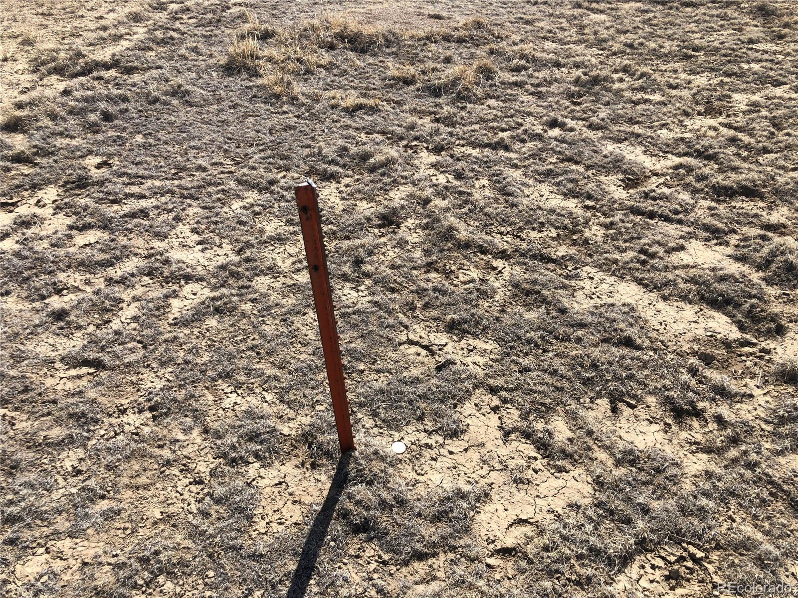 4-5 Longhorn Ranch Model, CO 81059 - Photo 16 of 18 a view of a yard with a tree