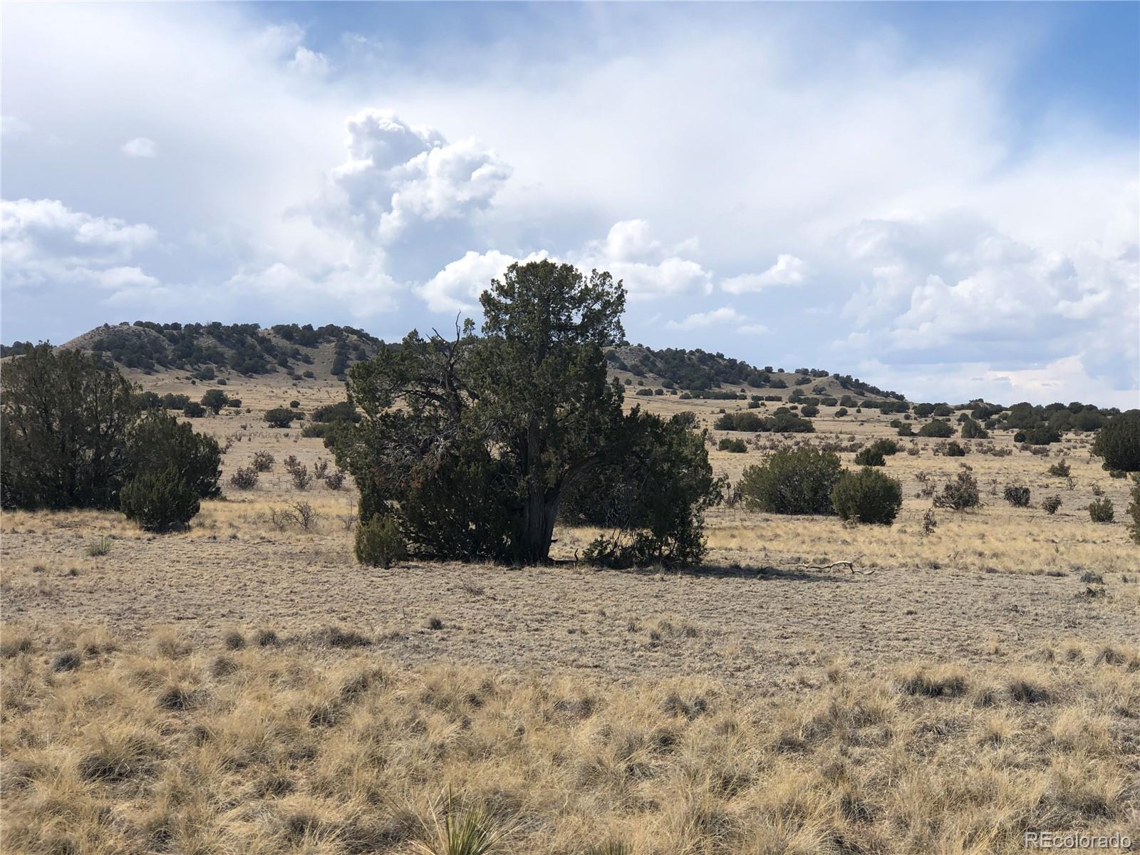 4-5 Longhorn Ranch Model, CO 81059 - Photo 2 of 18 a view of a dry yard covered with snow