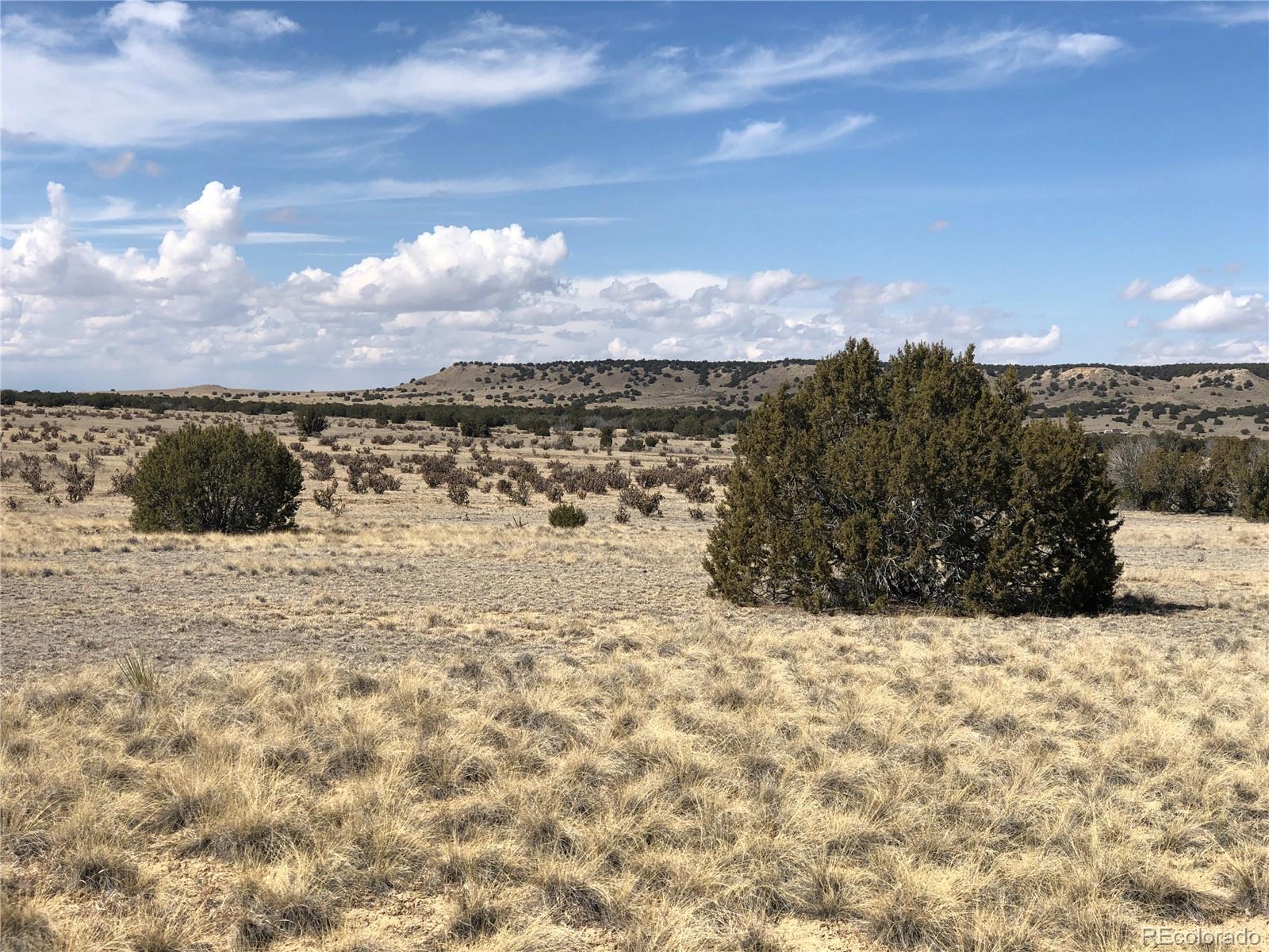 4-5 Longhorn Ranch Model, CO 81059 - Photo 3 of 18 a view of a yard