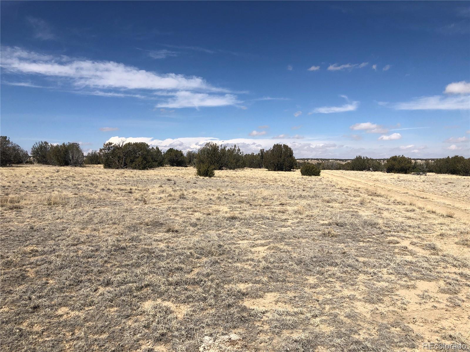 4-5 Longhorn Ranch Model, CO 81059 - Photo 5 of 18