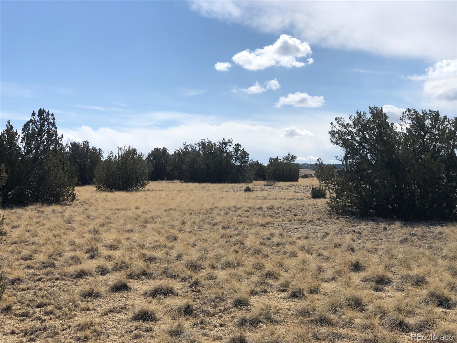 4-5 Longhorn Ranch Model, CO 81059 - Photo 9 of 18 a view of empty sky