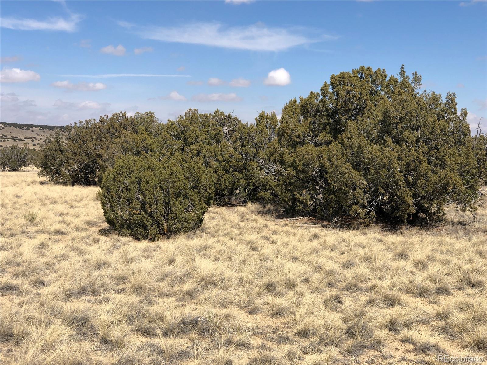 4-5 Longhorn Ranch Model, CO 81059 - Photo 10 of 18 a view of a yard covered with snow