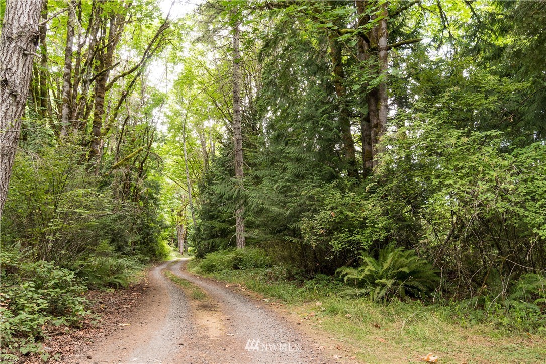585 Lone Star Road Quilcene, WA 98376 - Photo 2 of 28