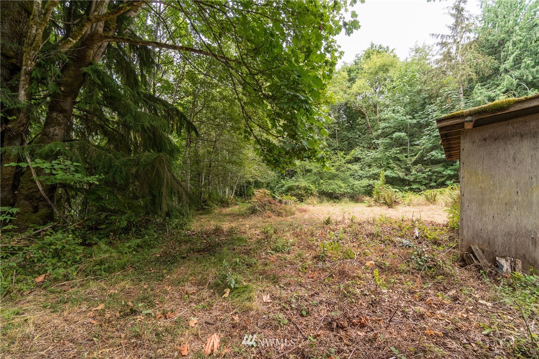 585 Lone Star Road Quilcene, WA 98376 - Photo 14 of 28