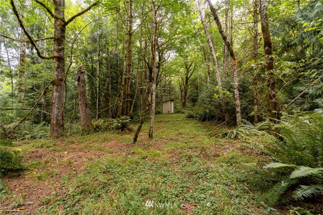 585 Lone Star Road Quilcene, WA 98376 - Photo 16 of 28