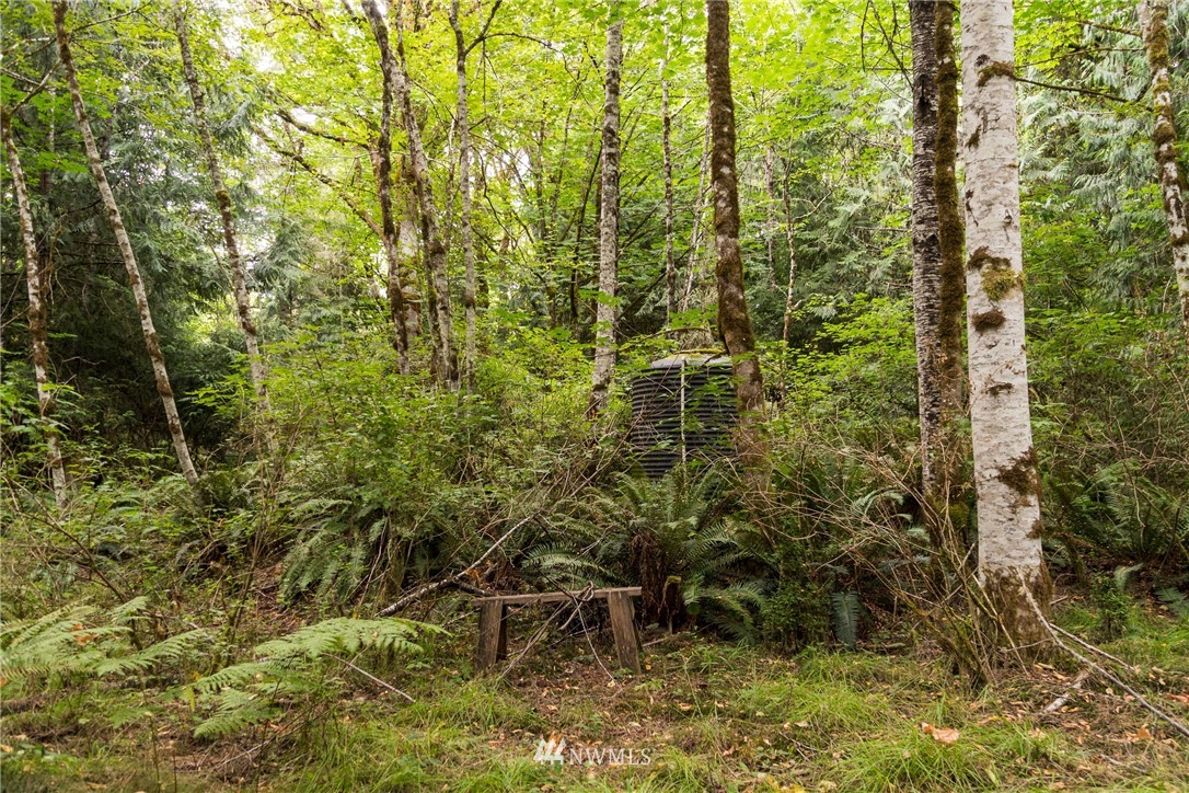 585 Lone Star Road Quilcene, WA 98376 - Photo 20 of 28