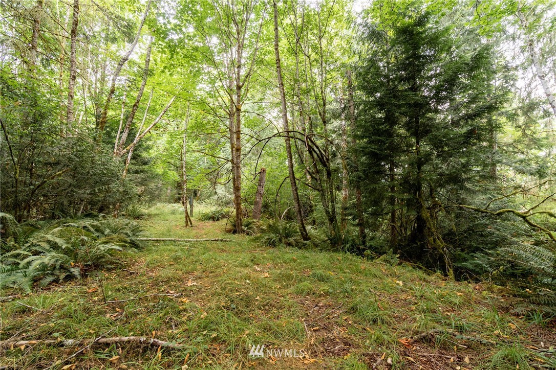 585 Lone Star Road Quilcene, WA 98376 - Photo 21 of 28