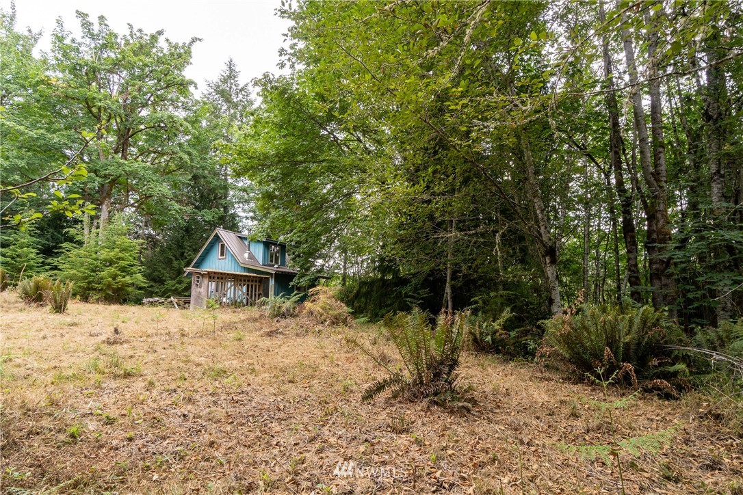 585 Lone Star Road Quilcene, WA 98376 - Photo 23 of 28