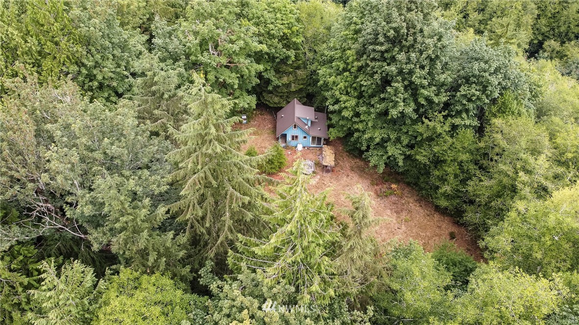 585 Lone Star Road Quilcene, WA 98376 - Photo 24 of 28