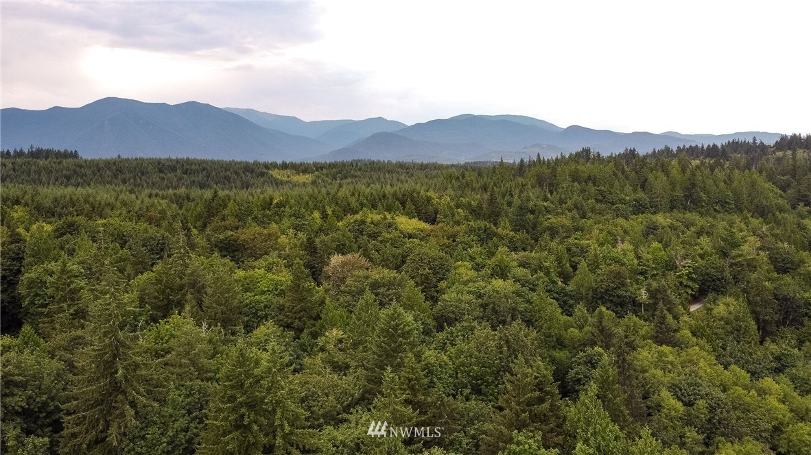 585 Lone Star Road Quilcene, WA 98376 - Photo 27 of 28
