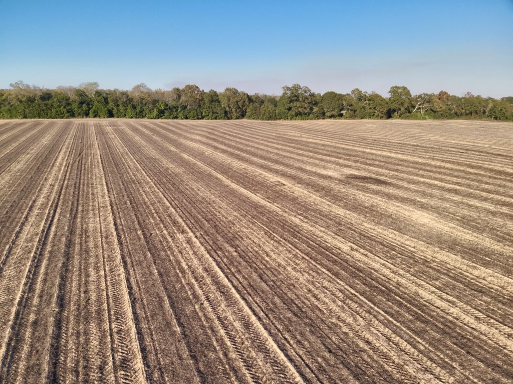 7.57-acres Burdeshaw Road Headland, AL 36345 - Photo 10 of 11