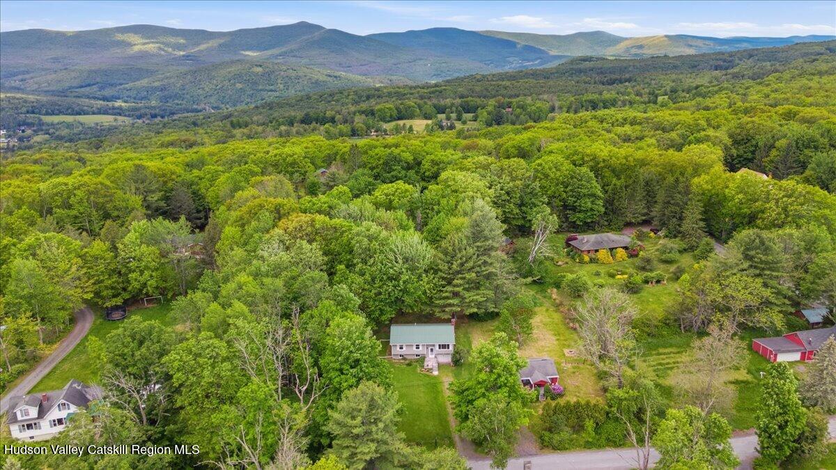 125 Reme Road Prattsville, NY 12468 - Photo 33 of 35 34-Drone Photography