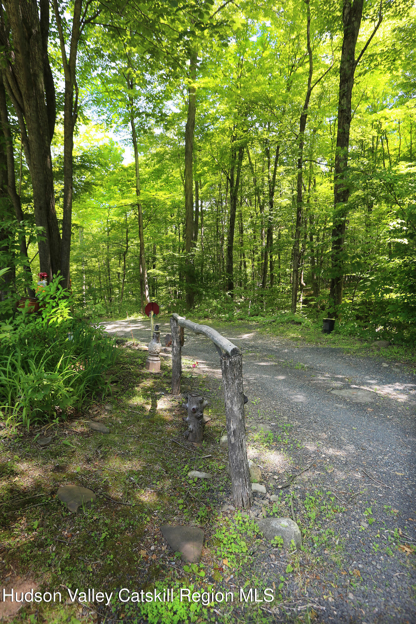 219 Edison Timmerman Road Cairo, NY 12413 - Photo 44 of 51 a view of a green field with lots of bushes